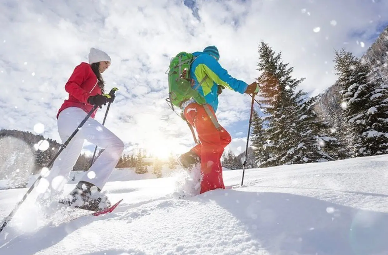 Snowshoes