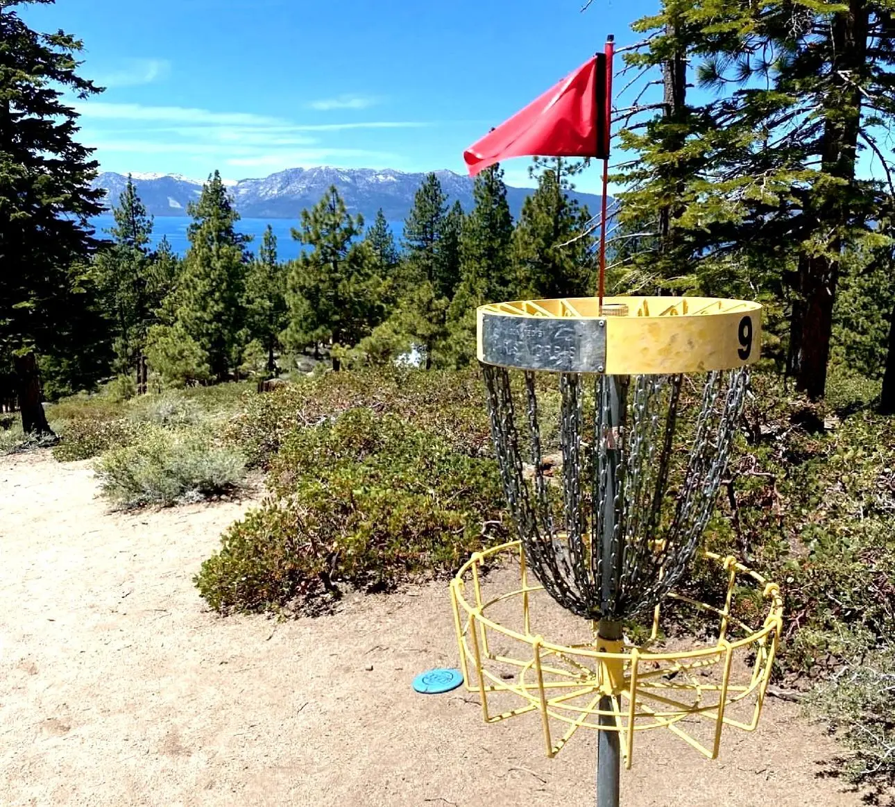 Disc Golf