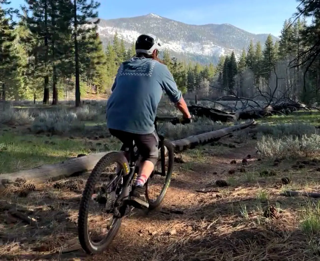Electric Snow Bike / Snowmobile