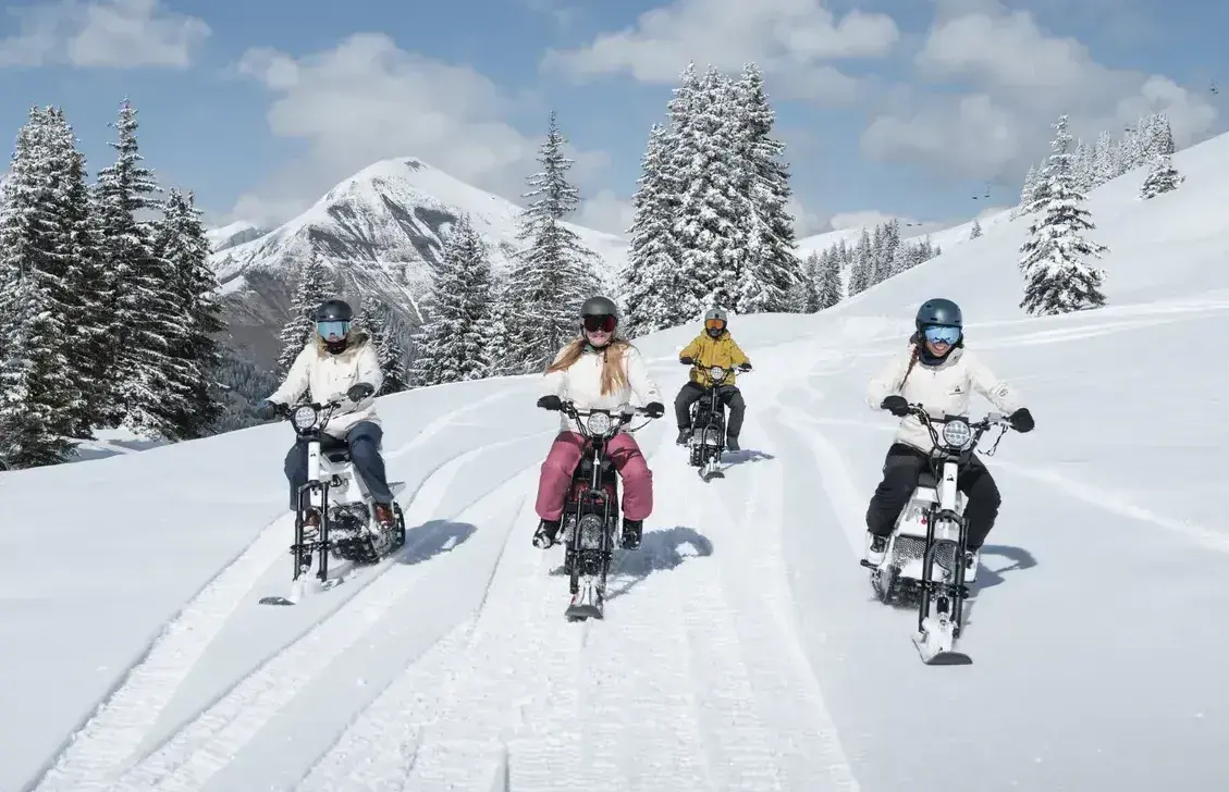 Electric Snow Bike / Snowmobile