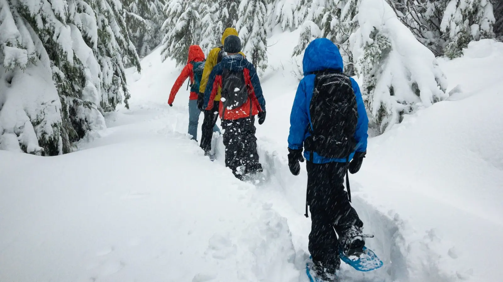 Snowshoes